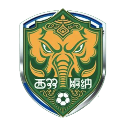 德宏隊
